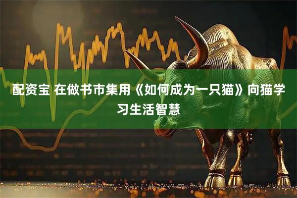 配资宝 在做书市集用《如何成为一只猫》向猫学习生活智慧
