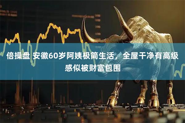倍操盘 安徽60岁阿姨极简生活，全屋干净有高级感似被财富包围
