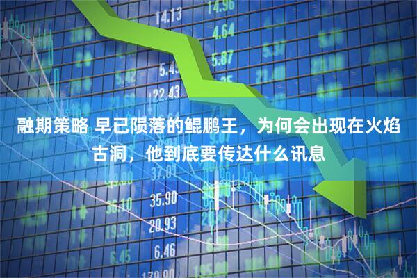 融期策略 早已陨落的鲲鹏王，为何会出现在火焰古洞，他到底要传达什么讯息