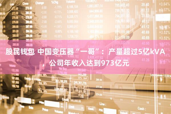 股民钱包 中国变压器“一哥”：产量超过5亿kVA，公司年收入达到973亿元