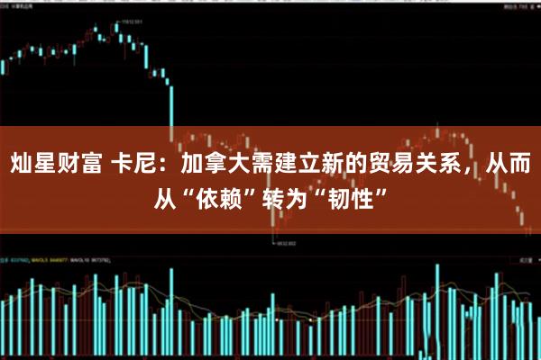 灿星财富 卡尼：加拿大需建立新的贸易关系，从而从“依赖”转为“韧性”